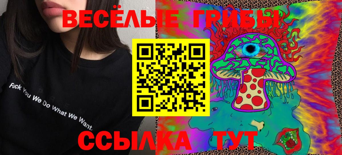 Псилоцибиновые грибы Cubensis Дмитров